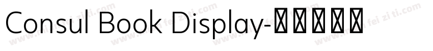 Consul Book Display字体转换